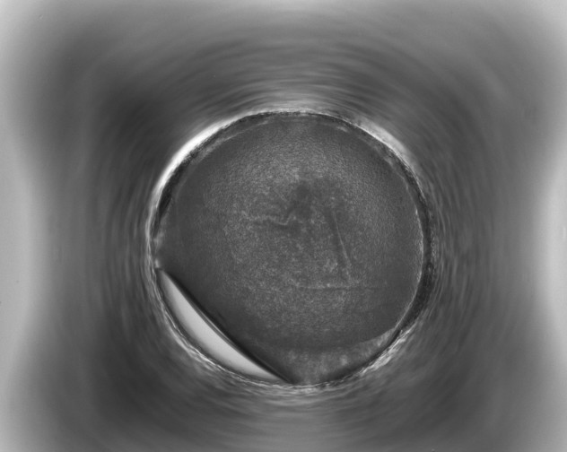 X0000085311120200703161447