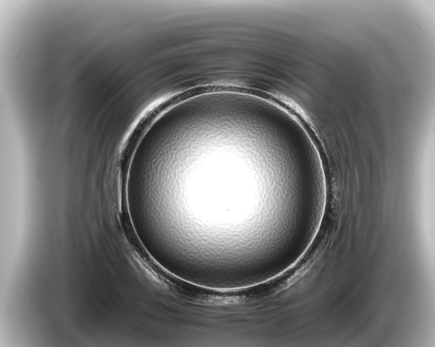 X0000085311123200703161447
