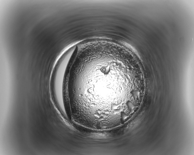 X0000085311125200703161447