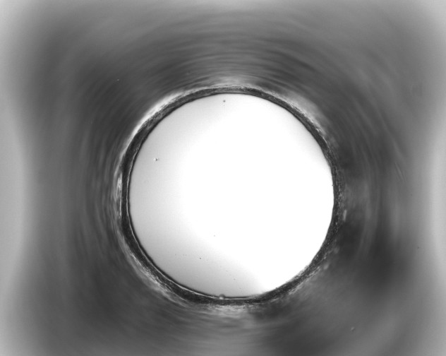X0000085311126200703161447