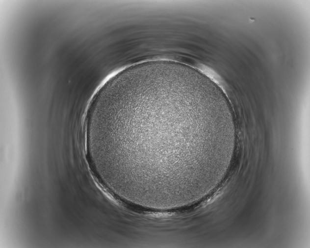 X0000085311127200703161447