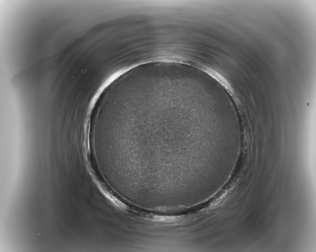 X0000085311128200703161447