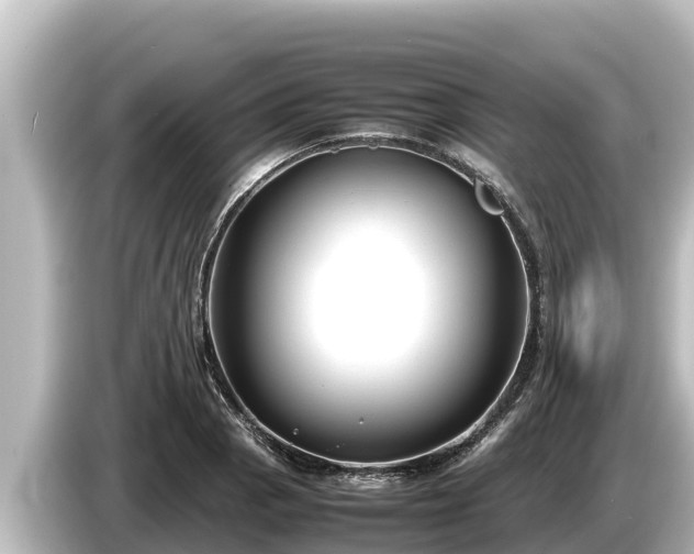 X0000085311129200703161447