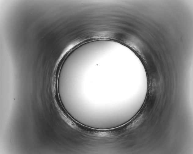 X0000085311130200703161447