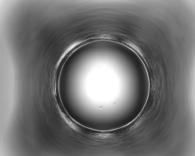 X0000085311131200703161447