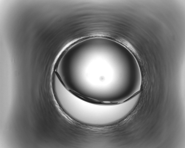 X0000085311132200703161447