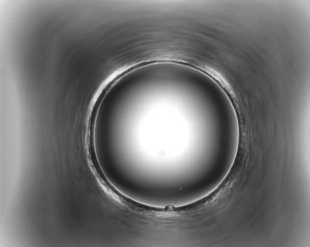 X0000085311136200703161447