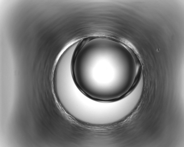 X0000085311138200703161447