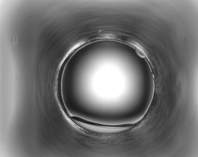 X0000085311139200703161447