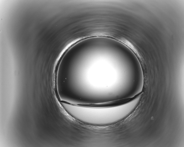X0000085311140200703161447