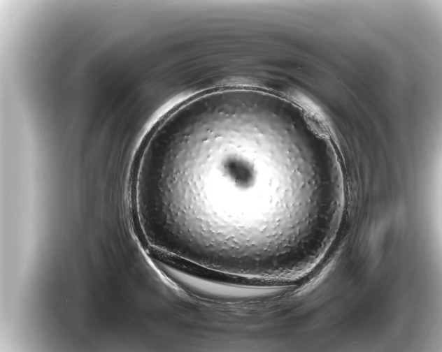 X0000085311141200703161447