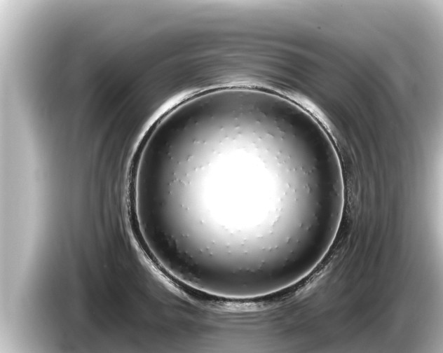 X0000085311142200703161447