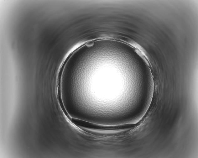 X0000085311143200703161447
