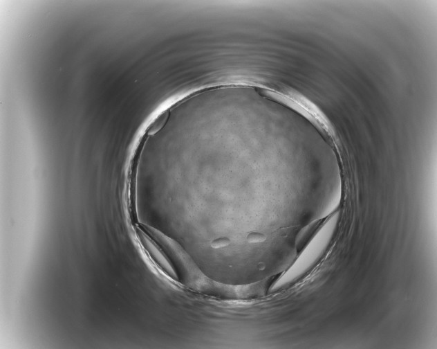 X0000085311144200703161447