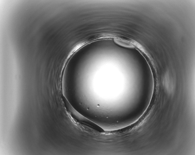 X0000085311145200703161447