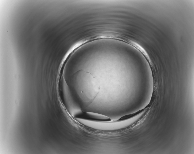 X0000085311146200703161447