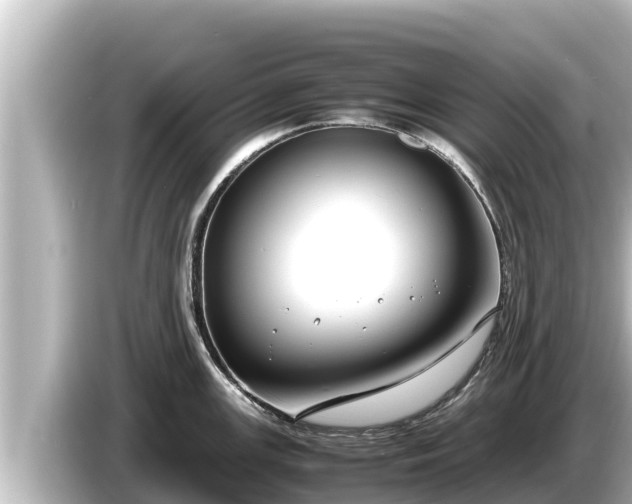 X0000085311147200703161447