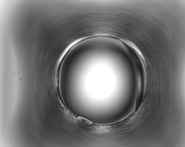 X0000085311148200703161447