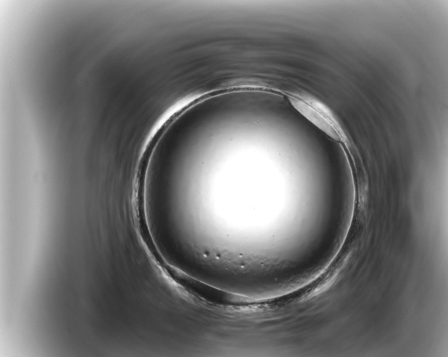 X0000085311149200703161447