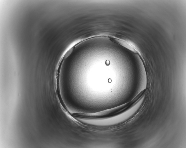 X0000085311151200703161447