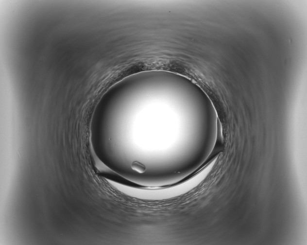 X0000085311153200703161447
