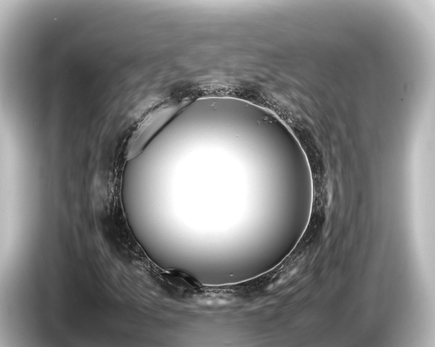 X0000085311157200703161447