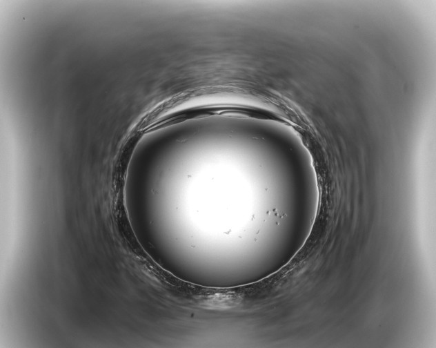 X0000085311160200703161447