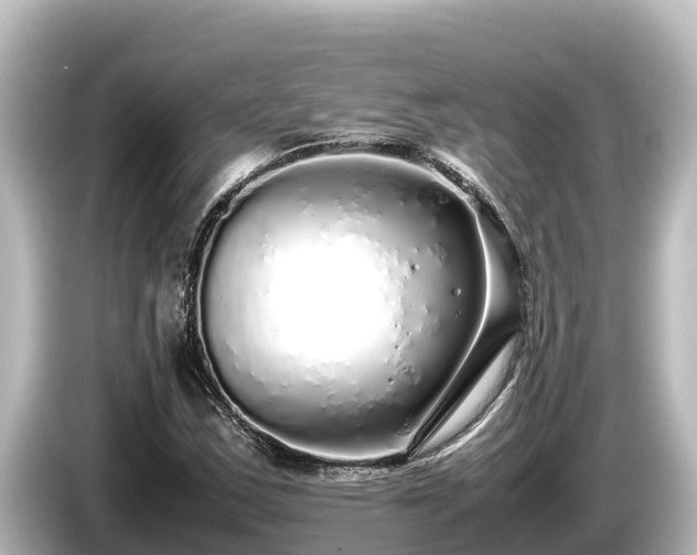 X0000085311163200703161447