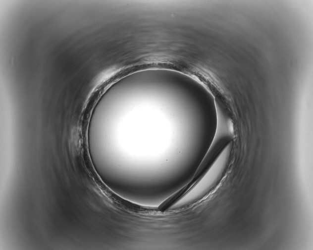 X0000085311164200703161447