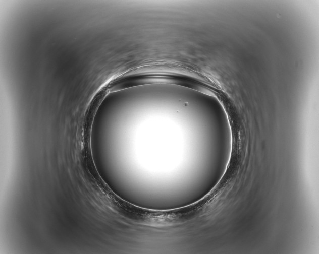 X0000085311165200703161447