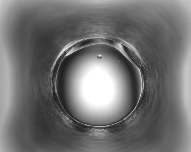 X0000085311168200703161446