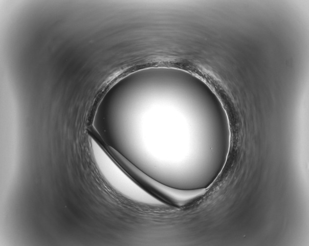 X0000085311169200703161446
