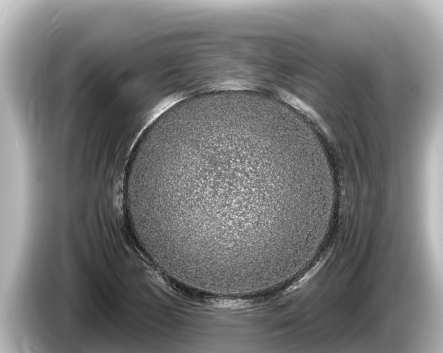 X0000085311170200703161446