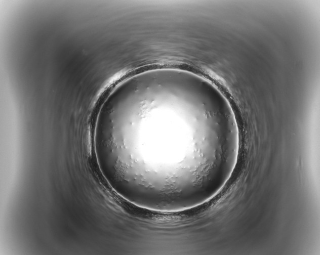X0000085311171200703161446