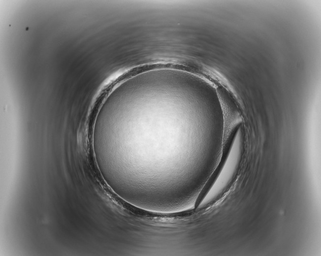 X0000085311172200703161446