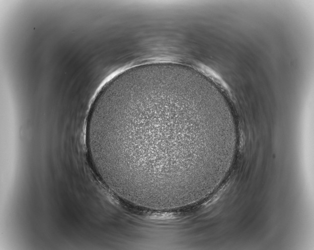 X0000085311174200703161446
