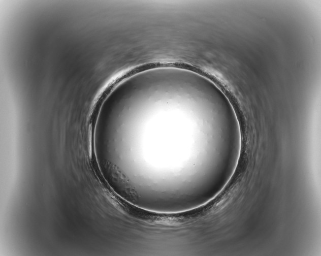 X0000085311175200703161446