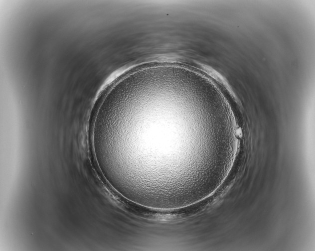 X0000085311176200703161446