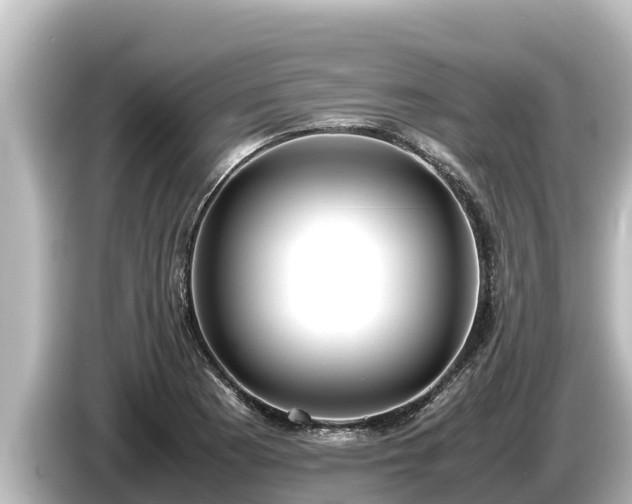 X0000085311177200703161446