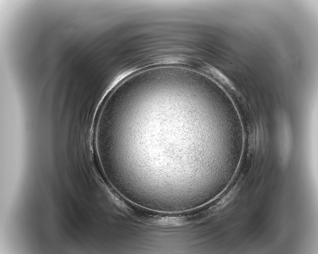 X0000085311178200703161446