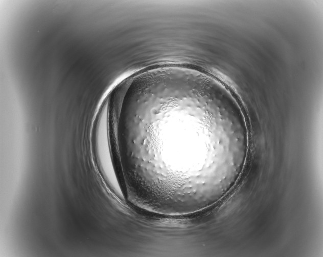 X0000085311179200703161446