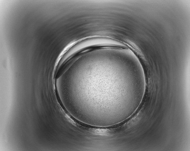 X0000085311180200703161446