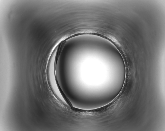 X0000085311181200703161446