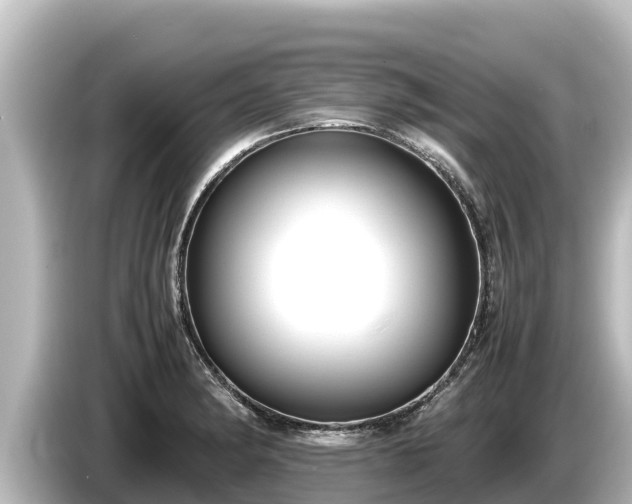 X0000085311182200703161446