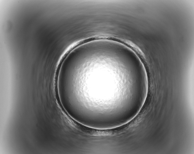 X0000085311183200703161446
