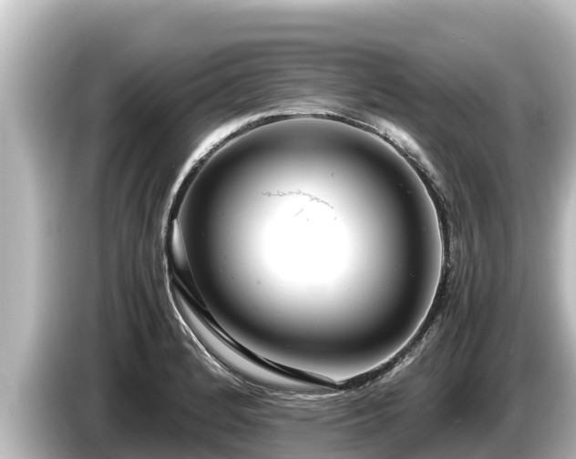 X0000085311184200703161446