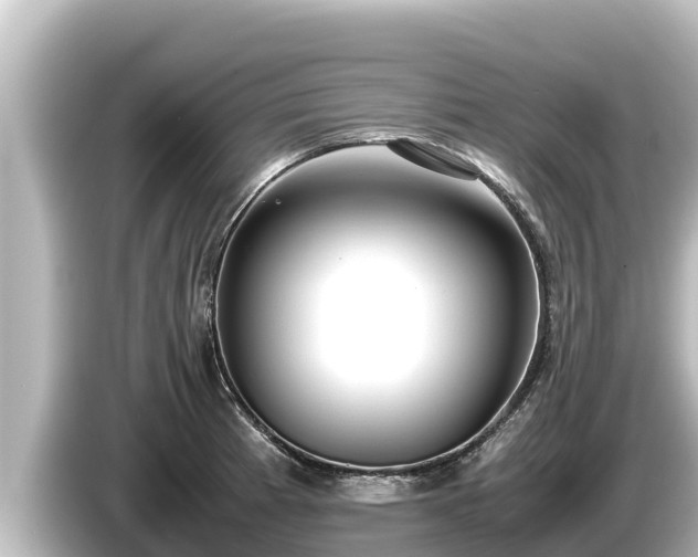 X0000085311185200703161446