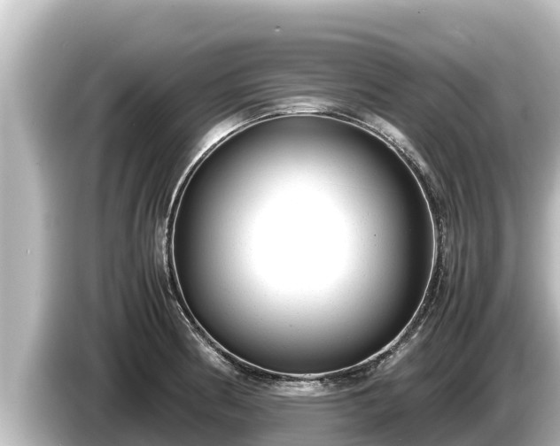 X0000085311186200703161446
