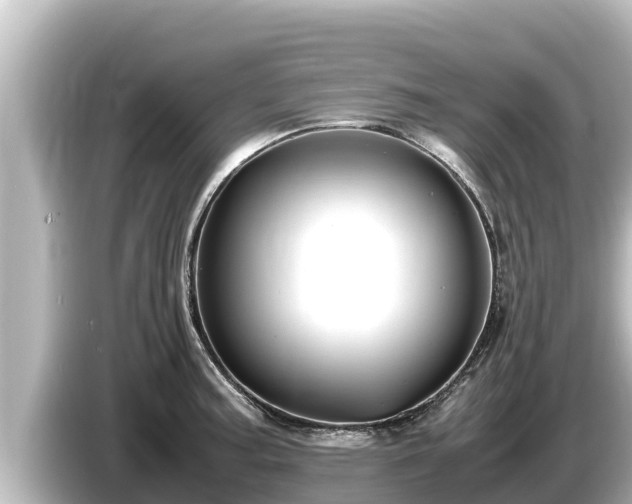 X0000085311187200703161446