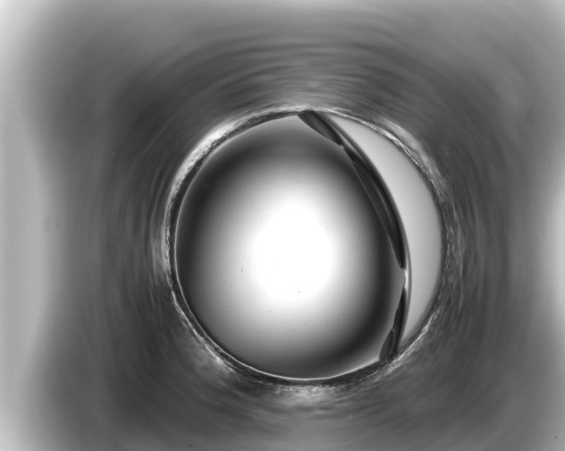 X0000085311188200703161446